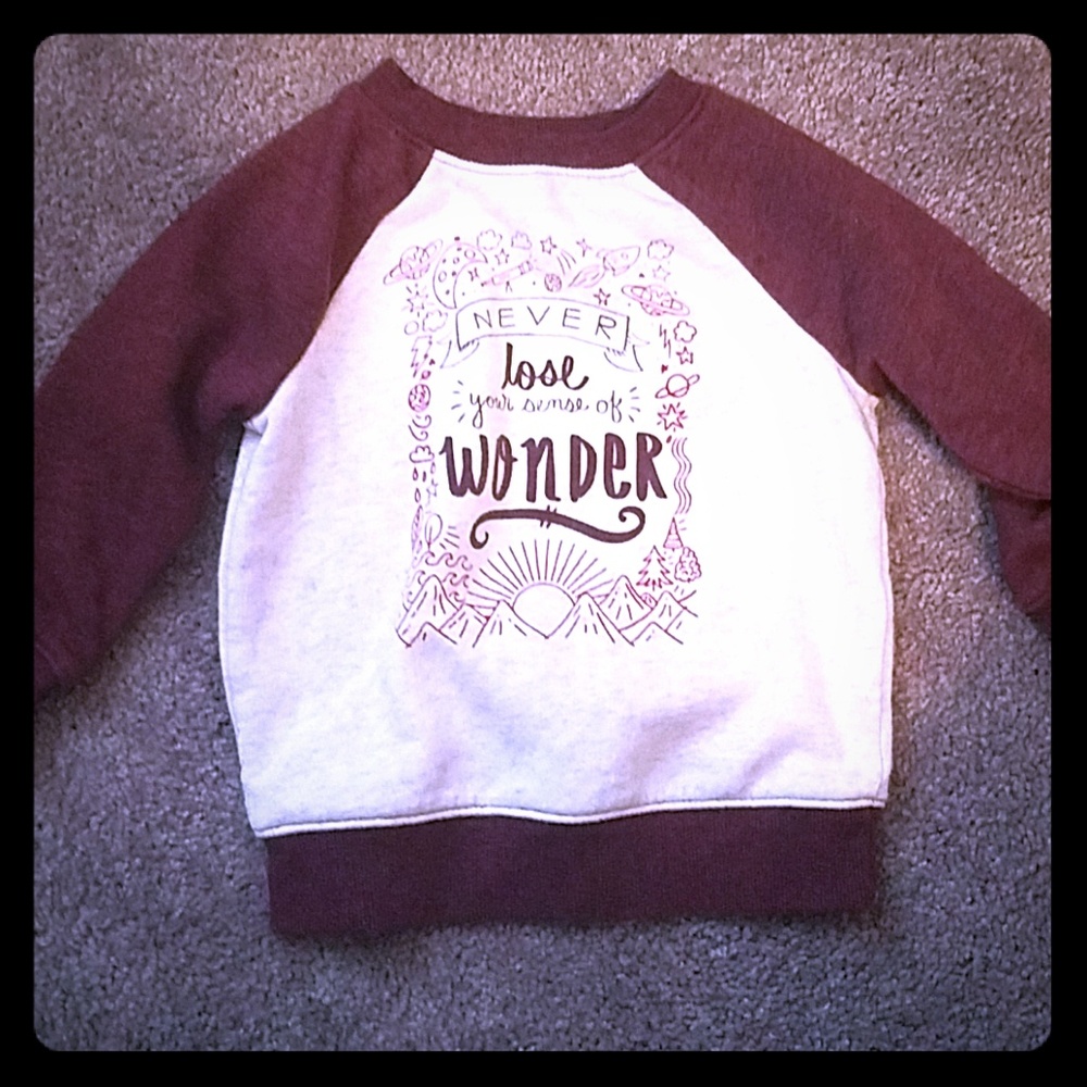 Cat and Jack Sweater